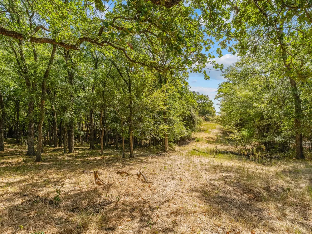 1037 Private Road 4481 Decatur, TX 76234