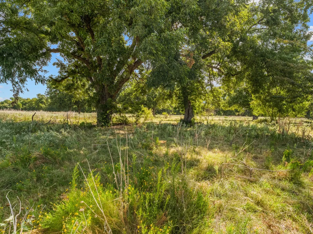 1037 Private Road 4481 Decatur, TX 76234