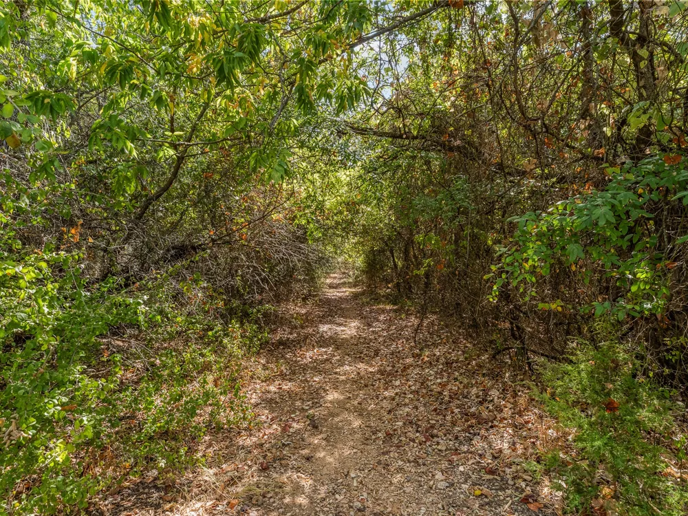 1037 Private Road 4481 Decatur, TX 76234