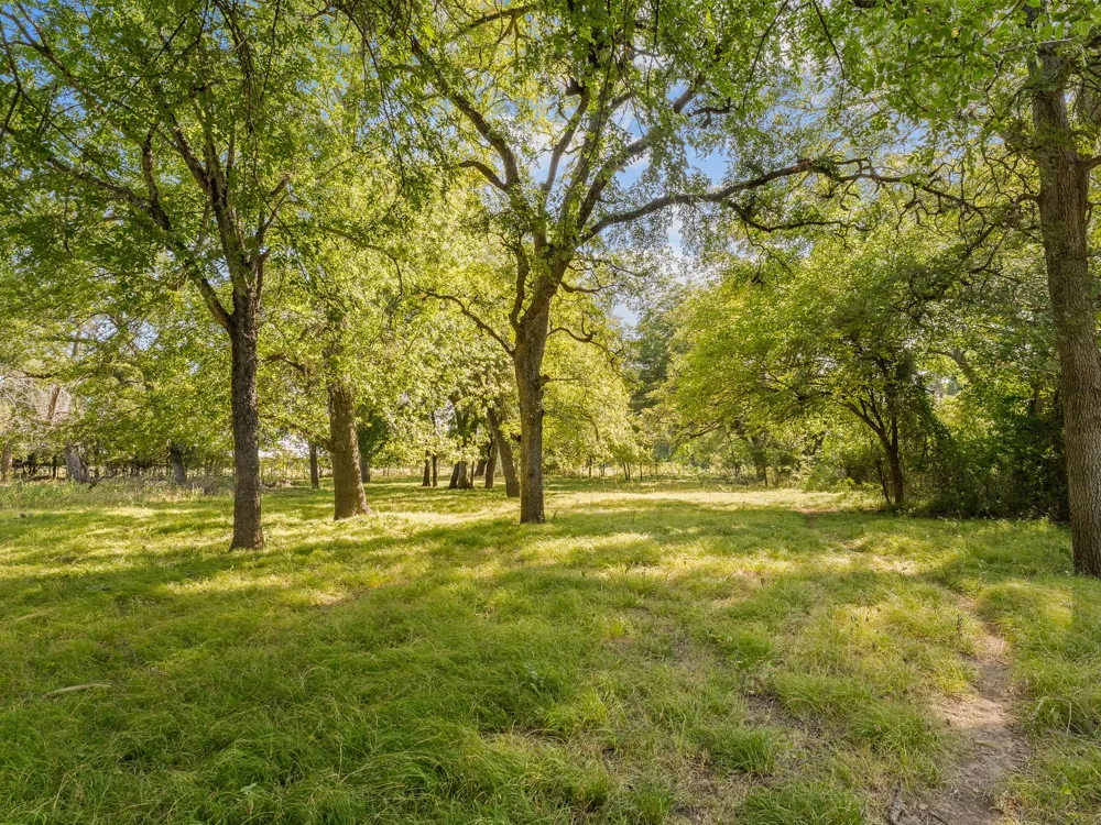 1037 Private Road 4481 Decatur, TX 76234