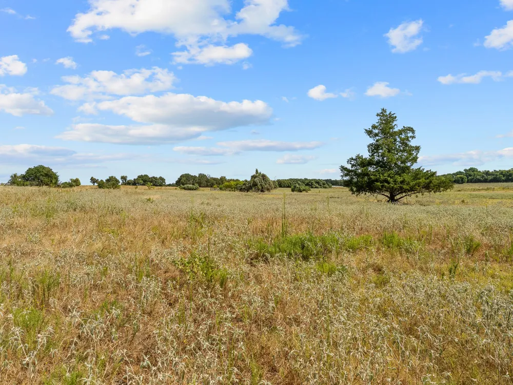 1037 Private Road 4481 Decatur, TX 76234