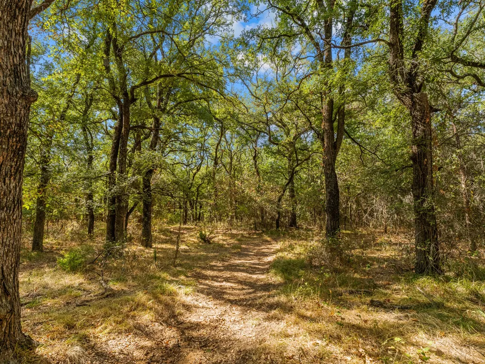 1037 Private Road 4481 Decatur, TX 76234
