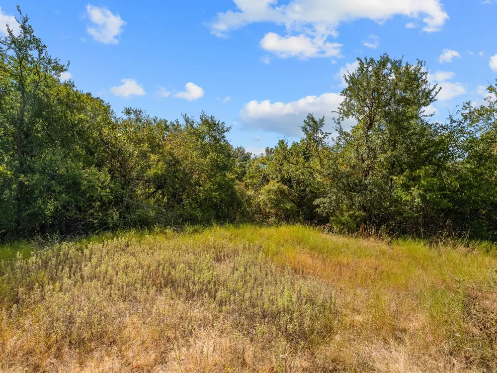 1037 Private Road 4481 Decatur, TX 76234