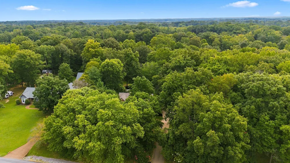 5038 Windland Dr Springfield, TN 37172