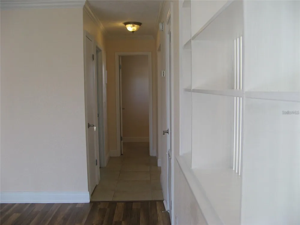 13753 ORANGE SUNSET DRIVE #202 Tampa, FL 33618