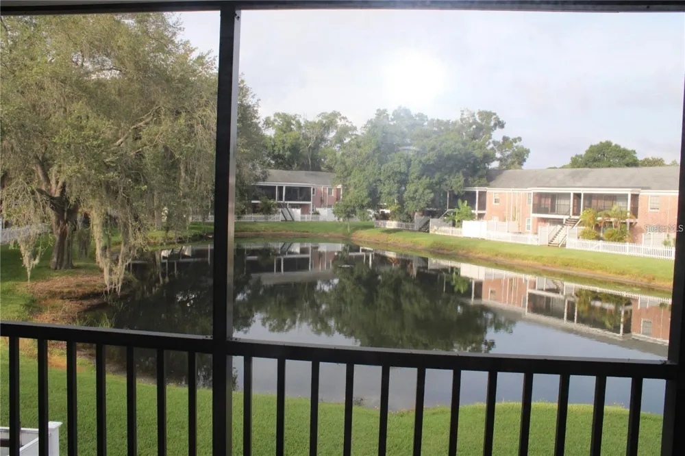 13753 ORANGE SUNSET DRIVE #202 Tampa, FL 33618