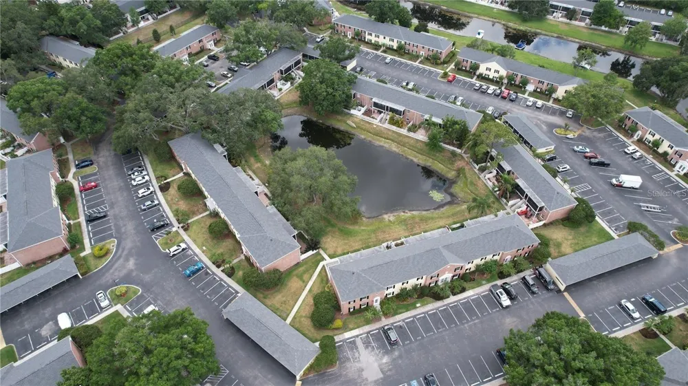 13753 ORANGE SUNSET DRIVE #202 Tampa, FL 33618