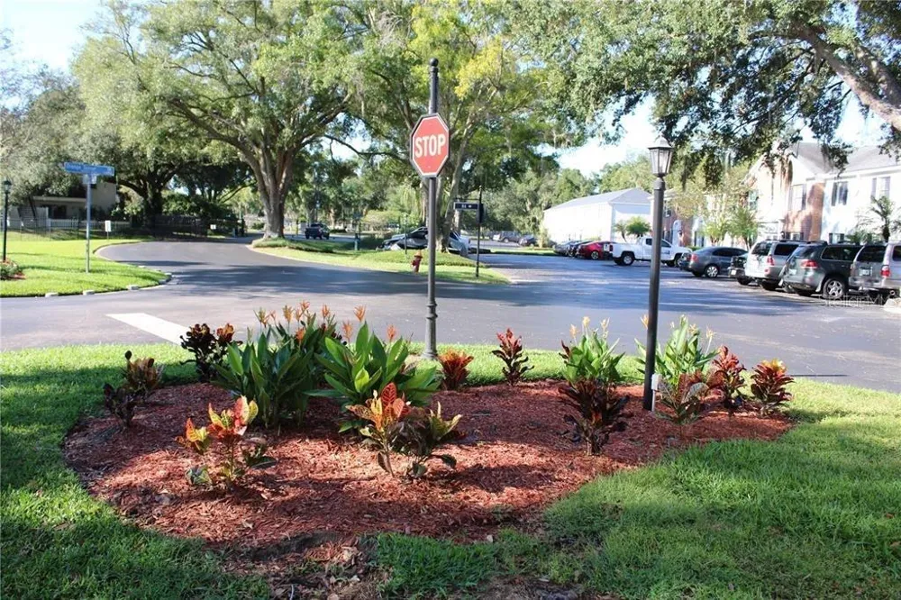 13753 ORANGE SUNSET DRIVE #202 Tampa, FL 33618