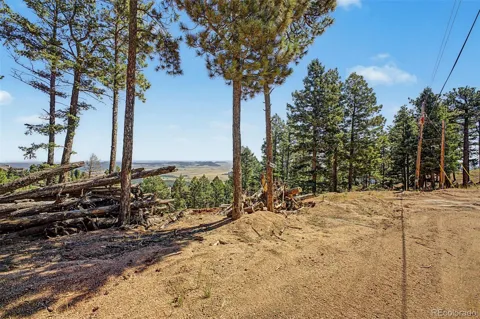 2199 Badger Drive