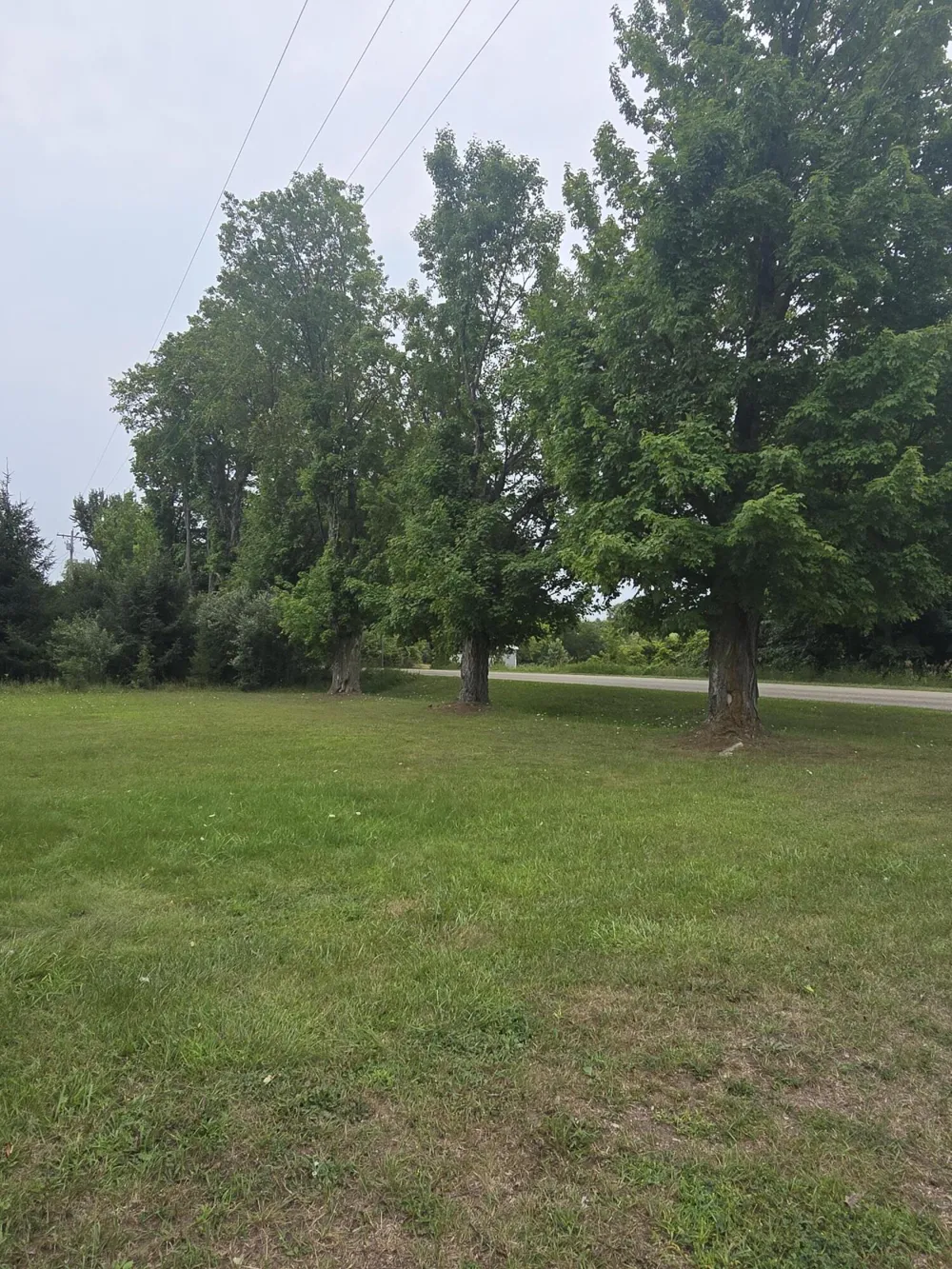 375 176th Avenue Walkerville, MI 49459