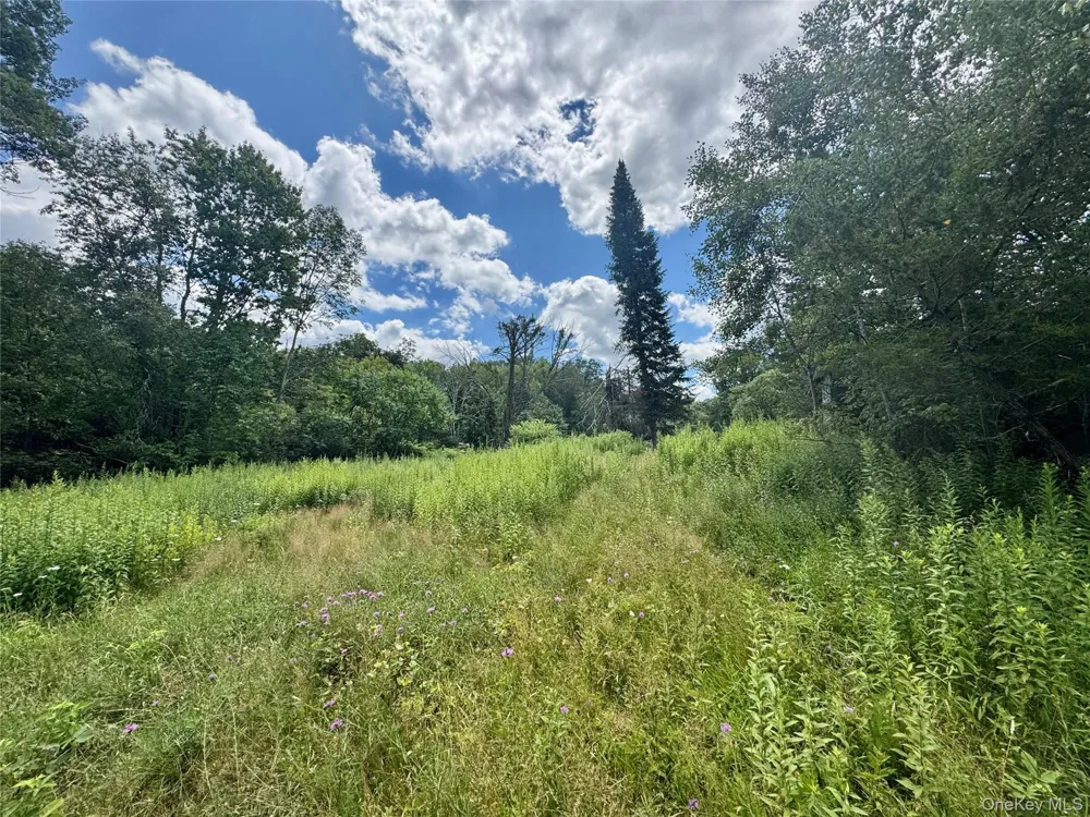 64 Homestead Lane Otisville, NY 10963