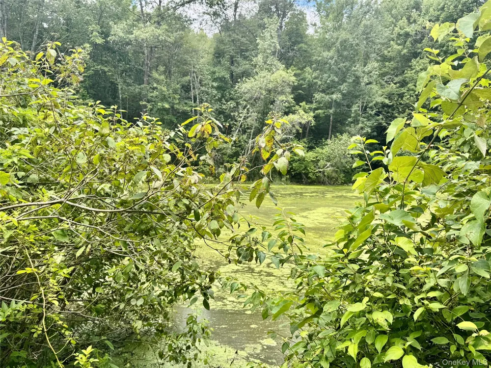 64 Homestead Lane Otisville, NY 10963