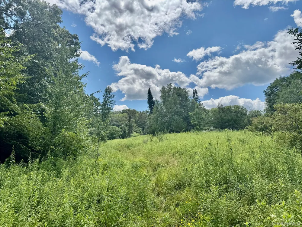 64 Homestead Lane Otisville, NY 10963