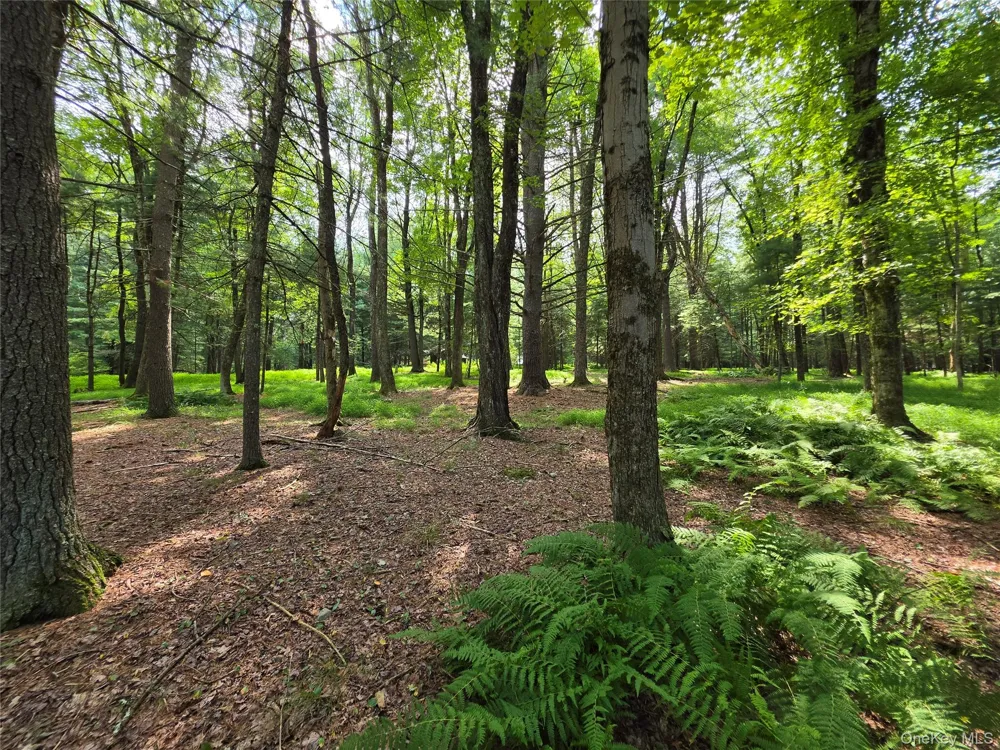 74 Oxford Drive White Lake, NY 12786
