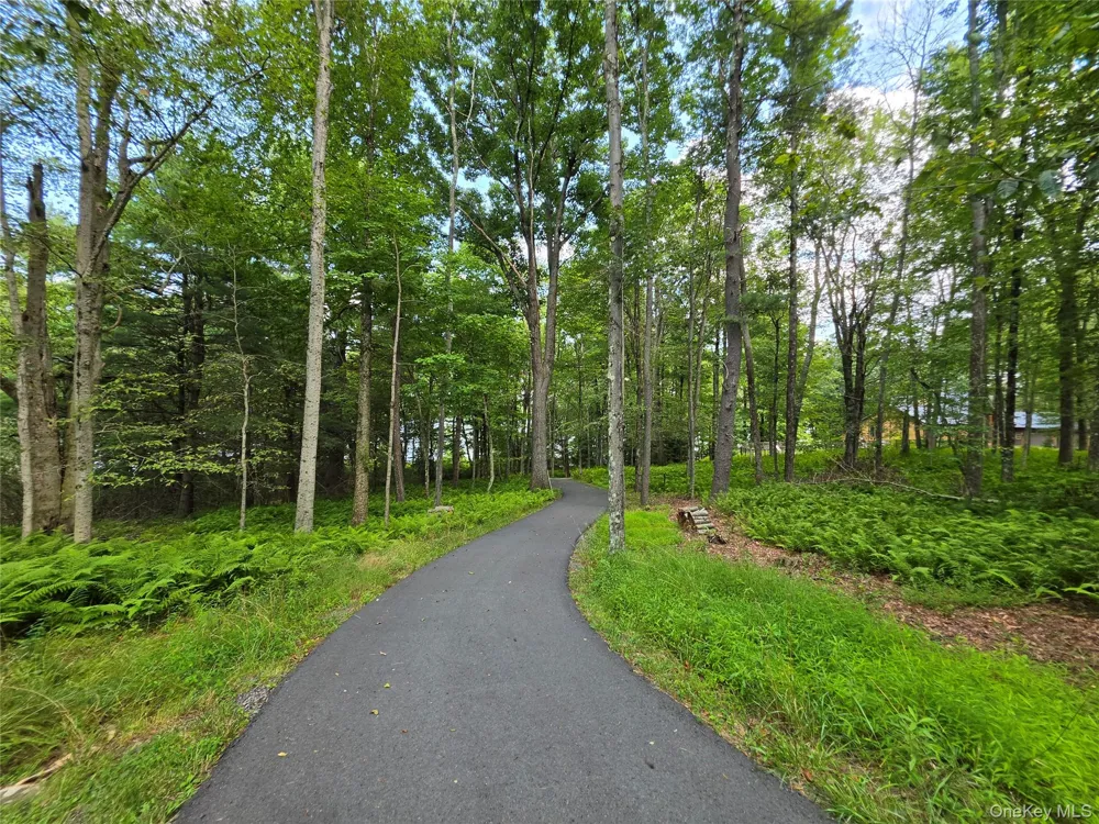 74 Oxford Drive White Lake, NY 12786
