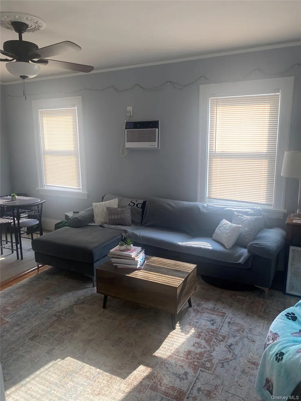 102 Conklin Street Farmingdale, NY 11735
