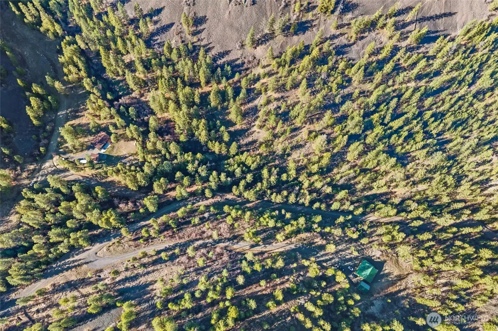 31297 Dodd Creek Lane E Davenport, WA 99122