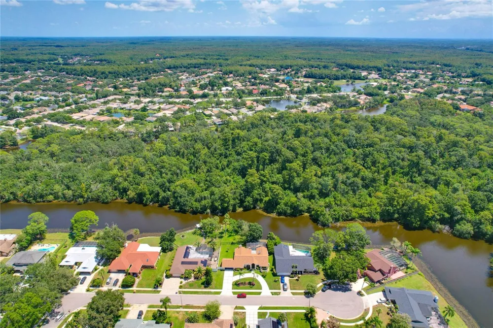 80 FOXFIRE LANE Oldsmar, FL 34677