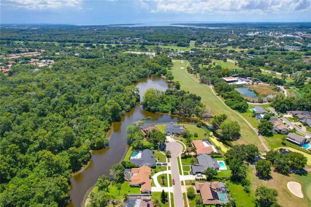80 FOXFIRE LANE Oldsmar, FL 34677