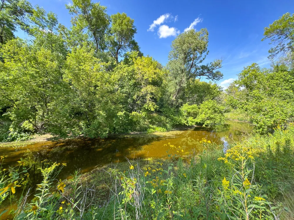 23461 140th Avenue Mahnomen, MN 56557