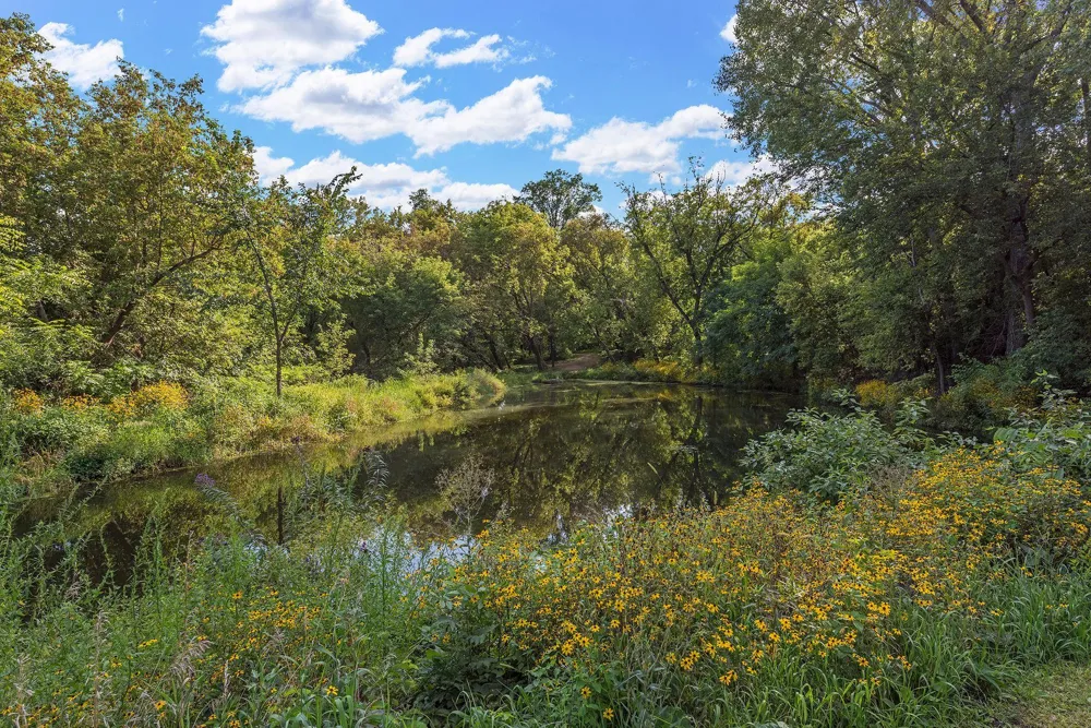 15517 Excelsior Boulevard Minnetonka, MN 55345