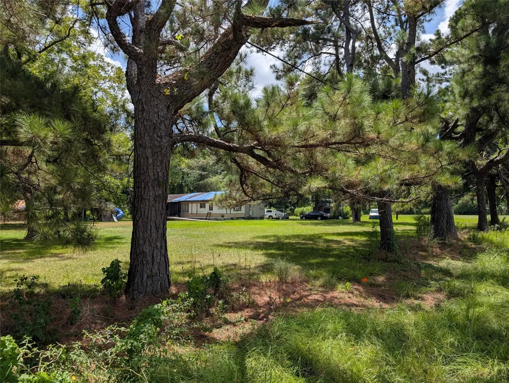 20265 Willaby Road New Caney, TX 77357