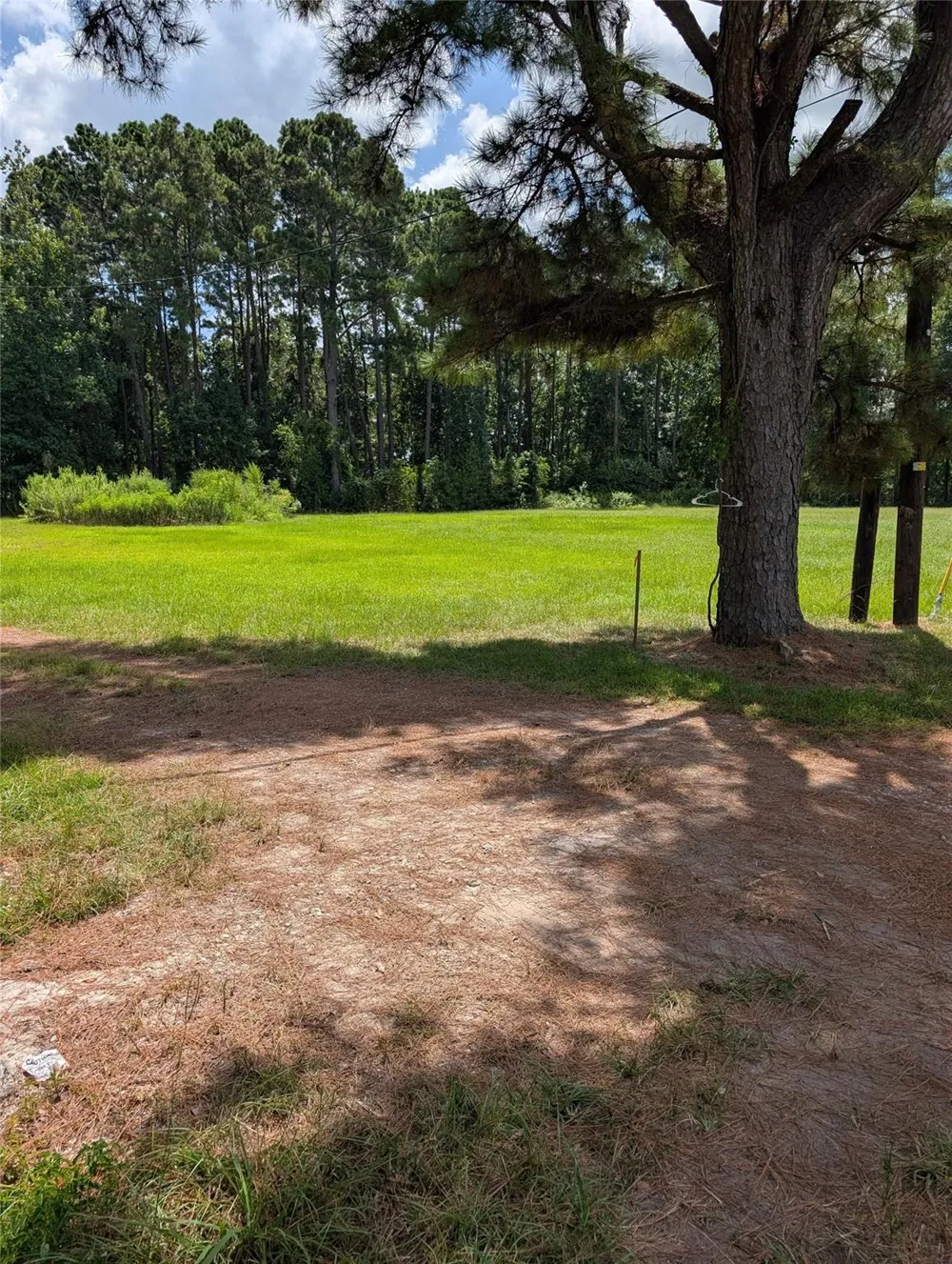 20265 Willaby Road New Caney, TX 77357