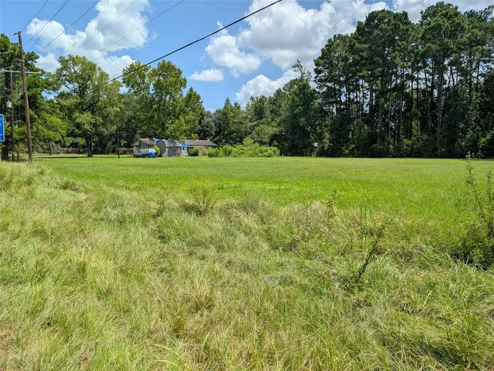 20265 Willaby Road New Caney, TX 77357