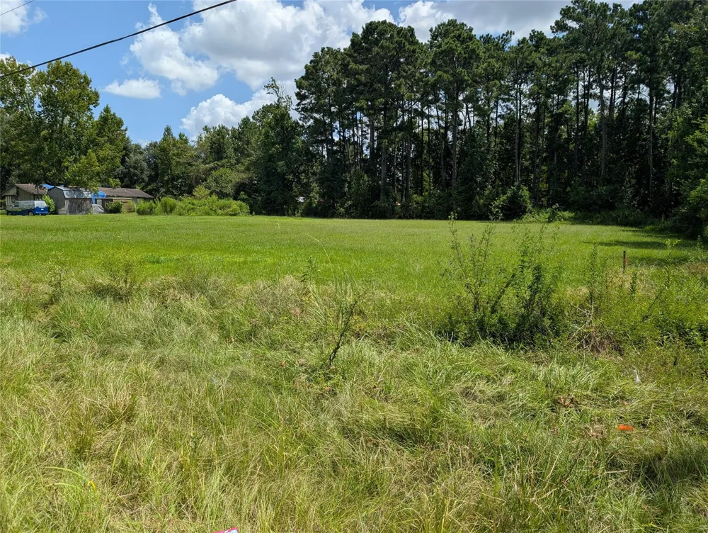 20265 Willaby Road New Caney, TX 77357