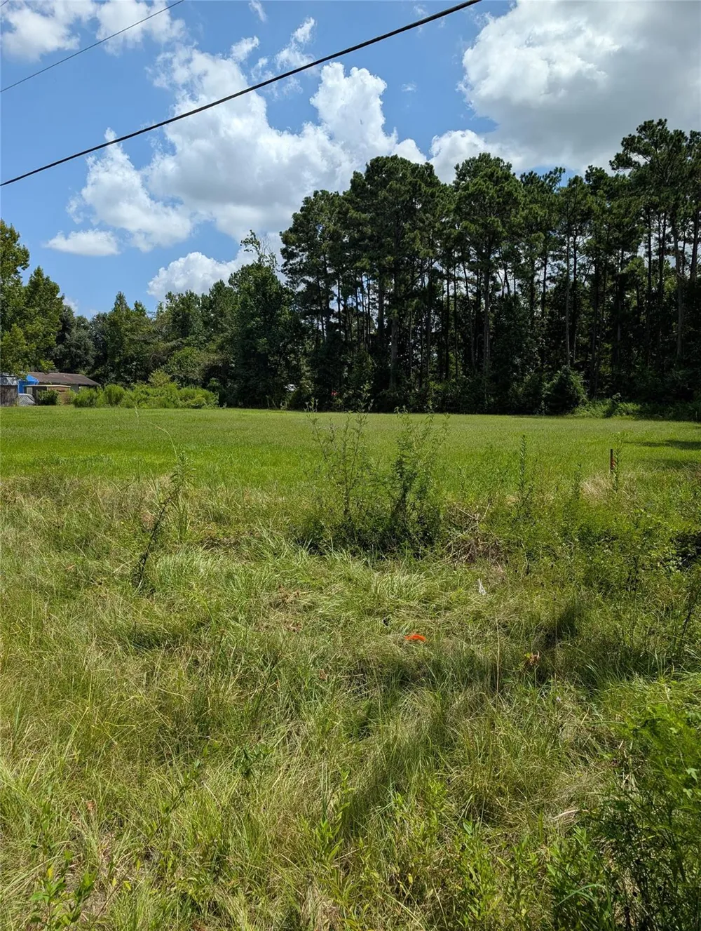 20265 Willaby Road New Caney, TX 77357