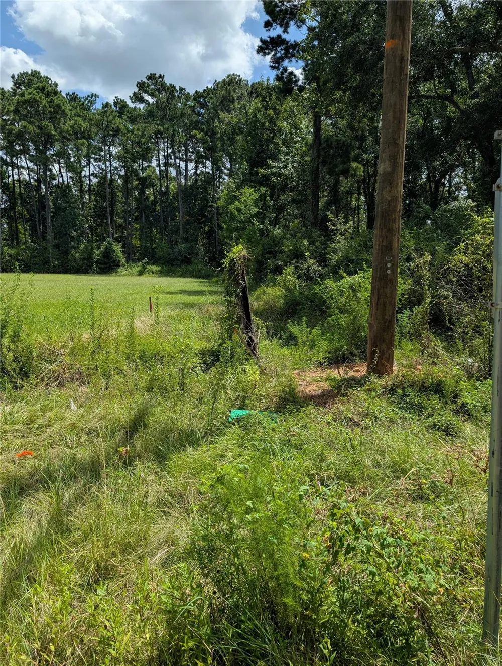 20265 Willaby Road New Caney, TX 77357