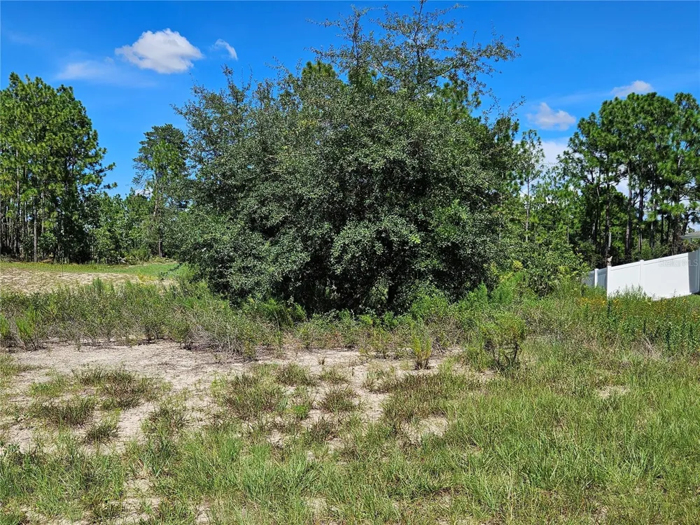 TBD SW 85TH TERRACE ocala, FL 34473