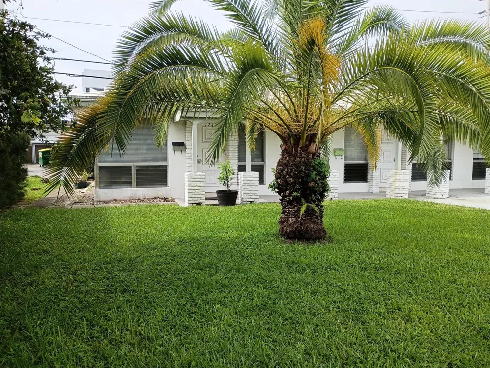 2724 NE 32ND STREET #6 Fort Lauderdale, FL 33306