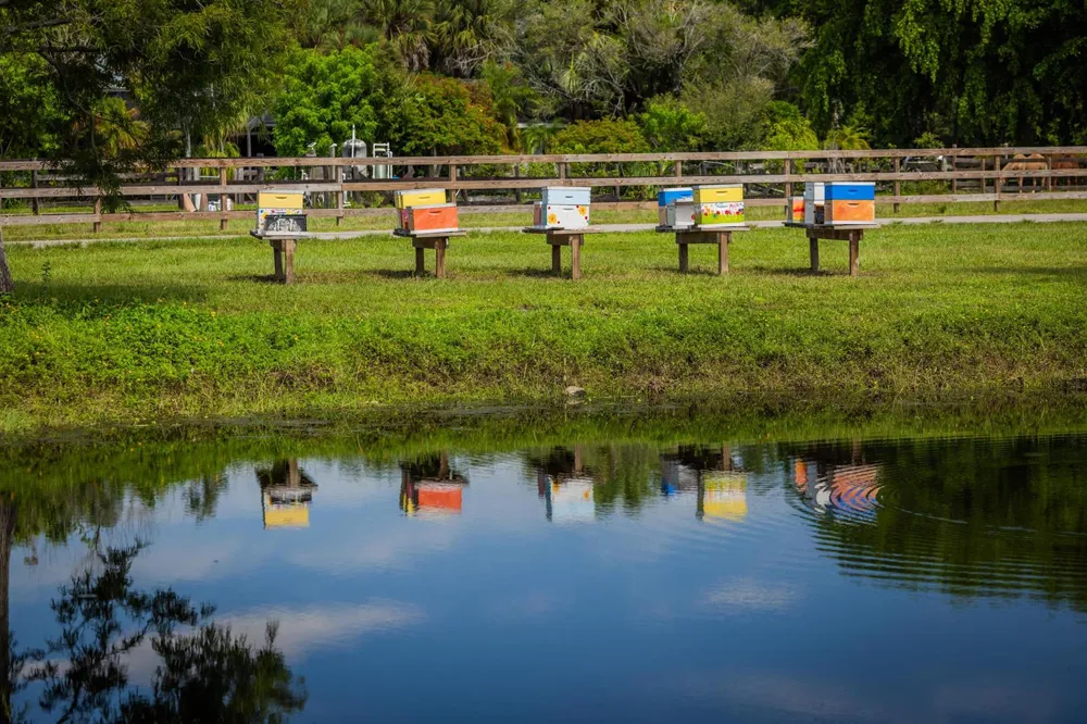 4300 Vinkemulder Road Coconut Creek, FL 33073