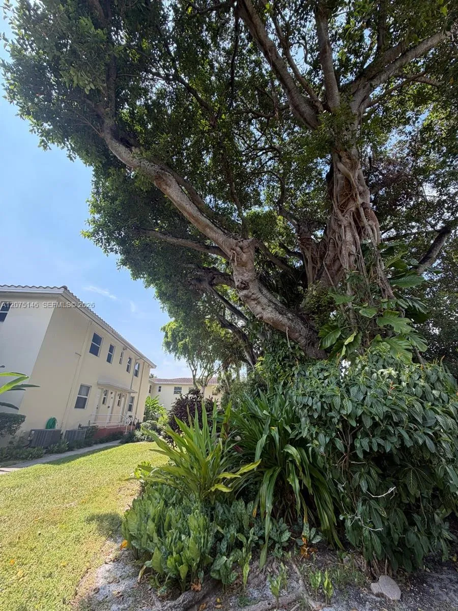 736 NE 92nd St #2K Miami Shores, FL 33138