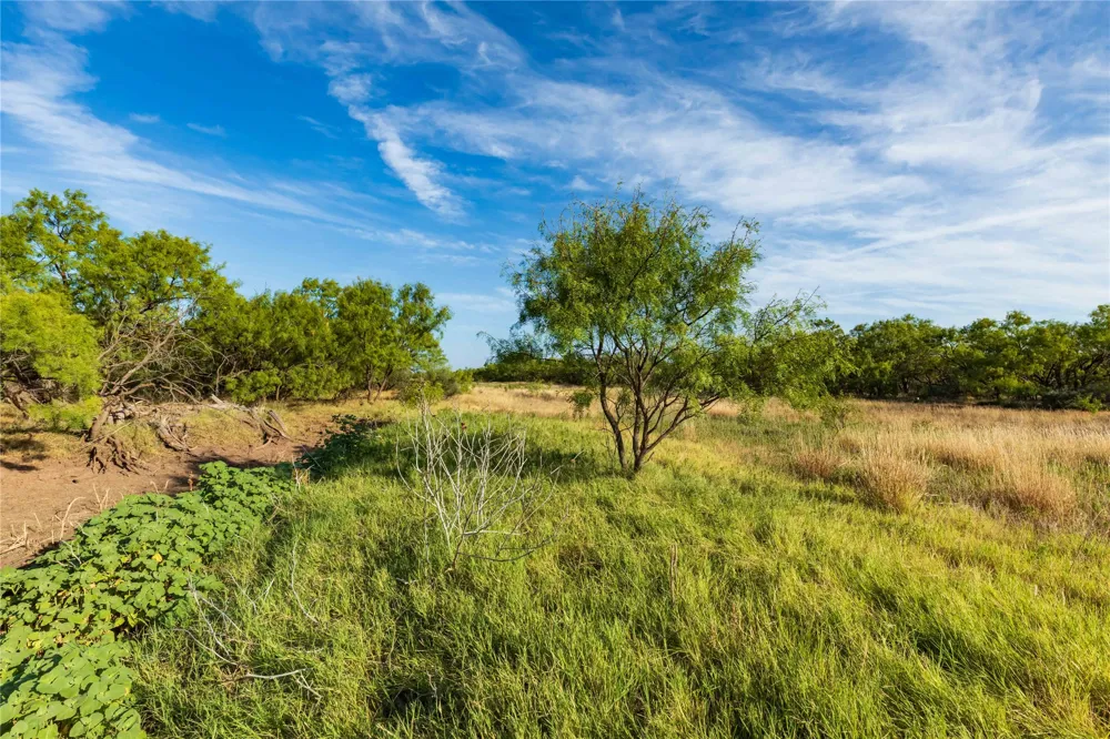 FM 1226 Stamford, TX 79553