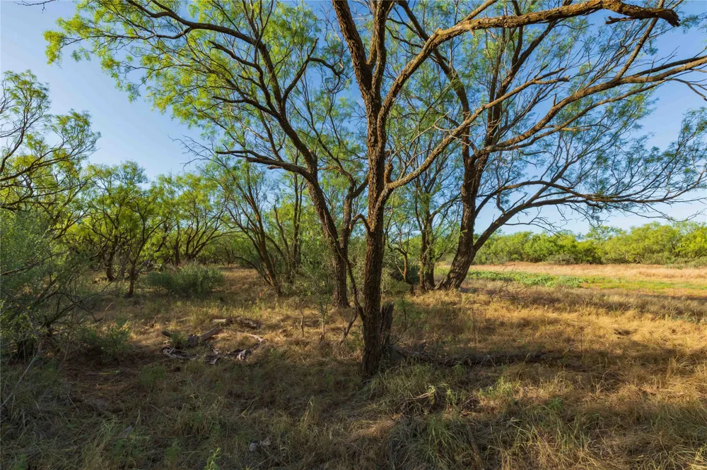 FM 1226 Stamford, TX 79553