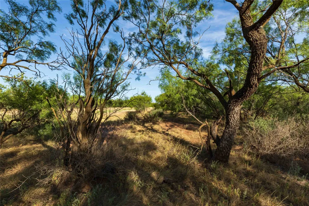 FM 1226 Stamford, TX 79553