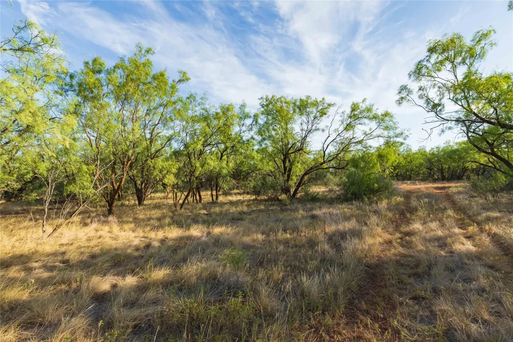 FM 1226 Stamford, TX 79553