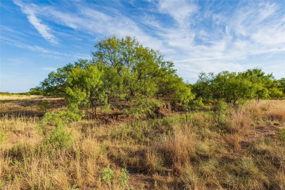 FM 1226 Stamford, TX 79553