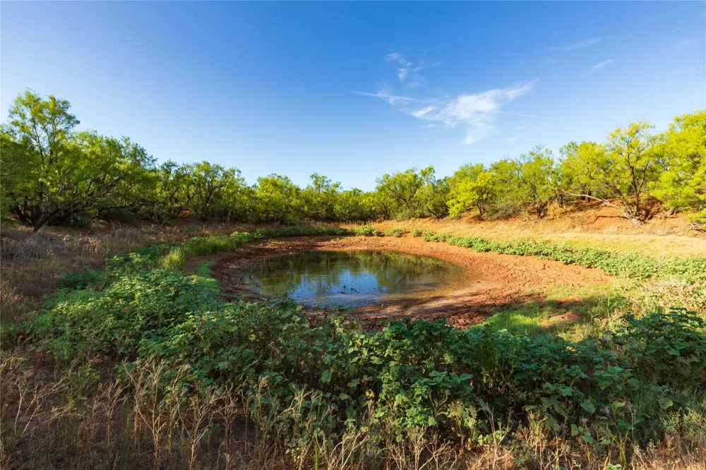 FM 1226 Stamford, TX 79553
