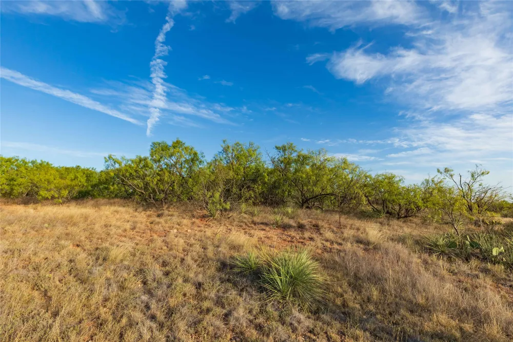 FM 1226 Stamford, TX 79553