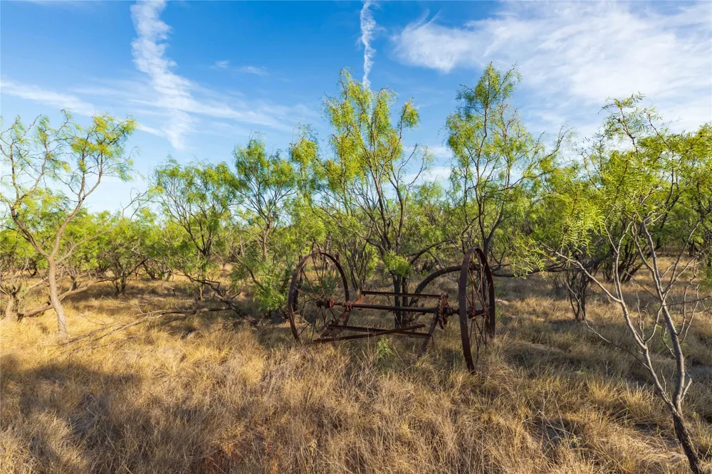FM 1226 Stamford, TX 79553
