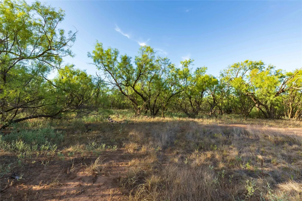 FM 1226 Stamford, TX 79553