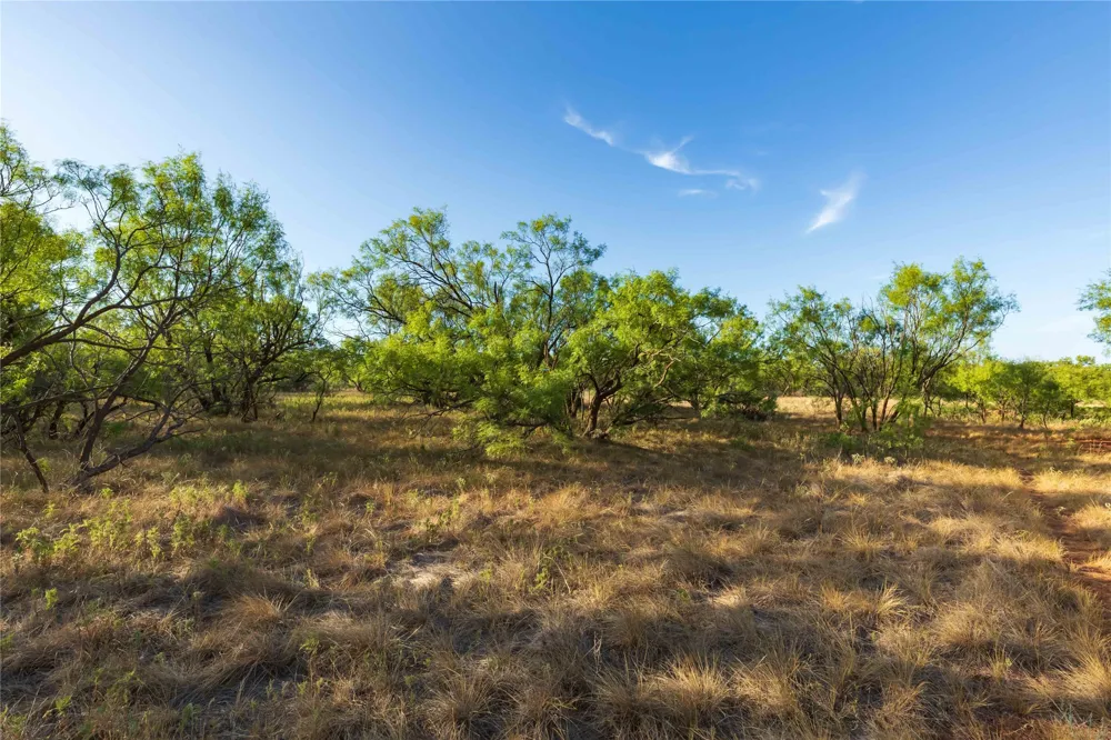 FM 1226 Stamford, TX 79553
