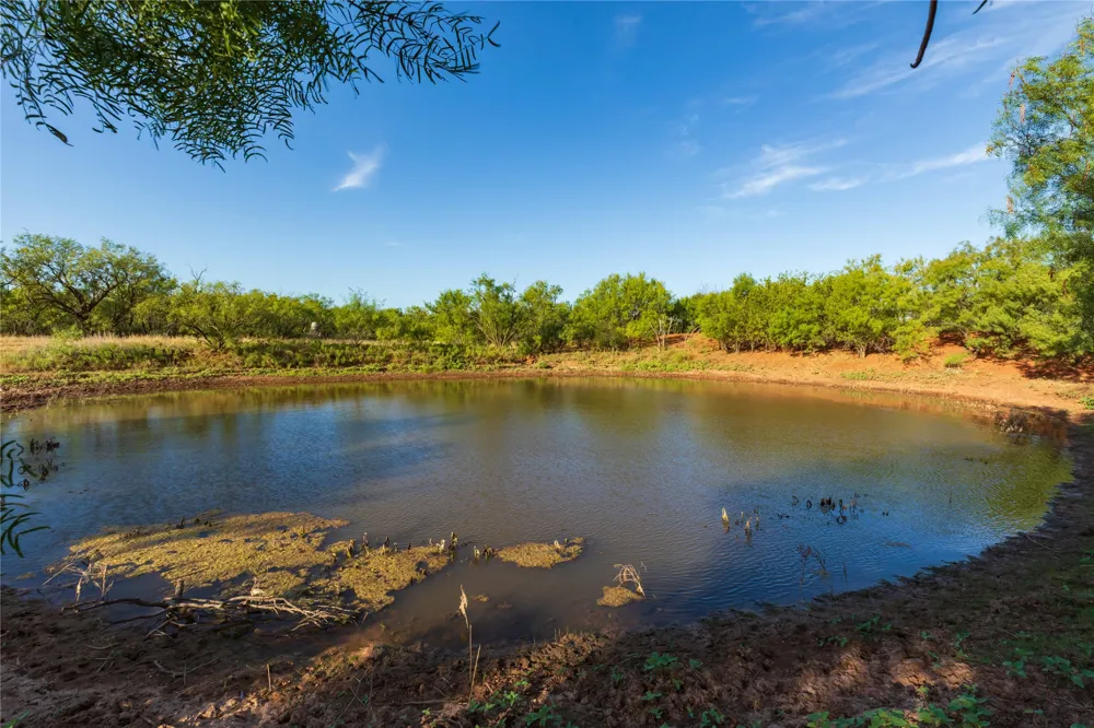FM 1226 Stamford, TX 79553