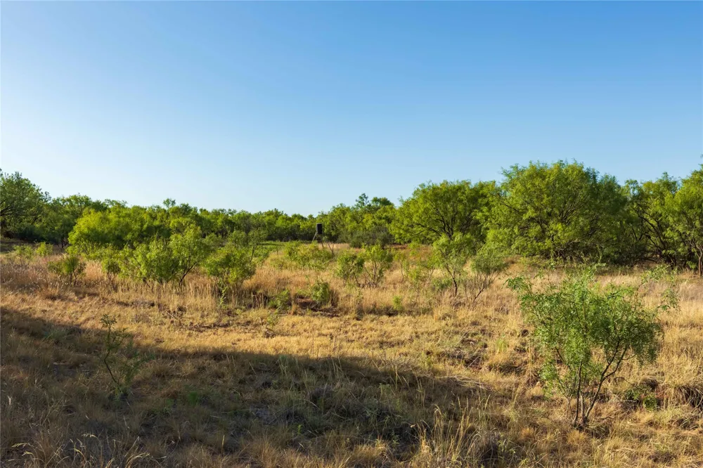 FM 1226 Stamford, TX 79553