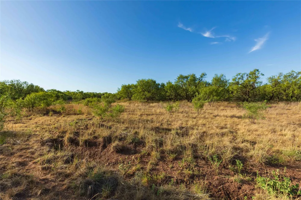 FM 1226 Stamford, TX 79553