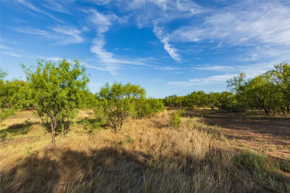 FM 1226 Stamford, TX 79553
