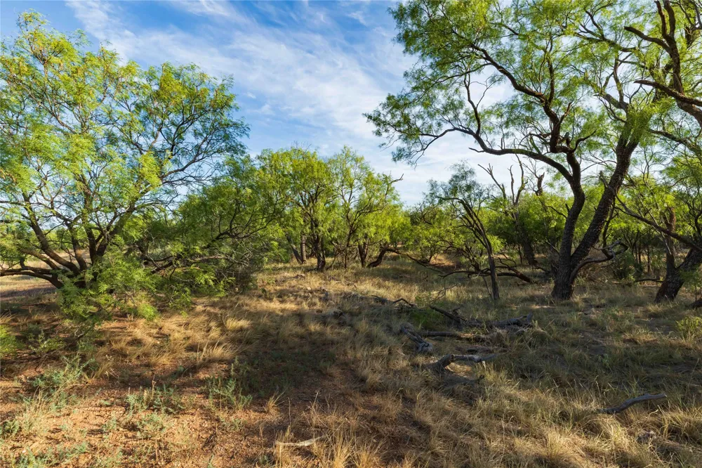FM 1226 Stamford, TX 79553